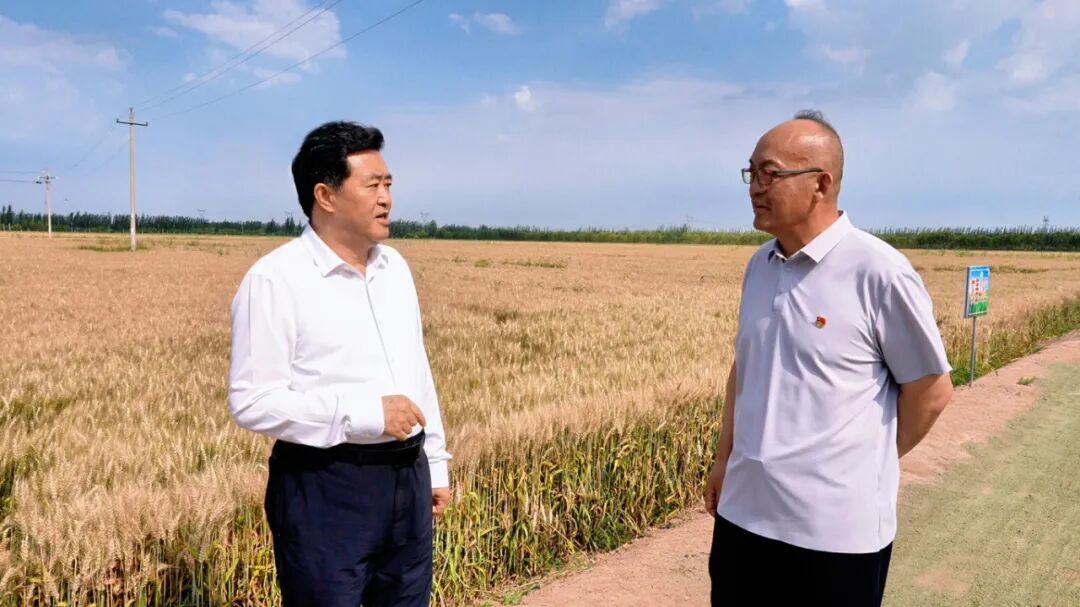 贺伟华深入巴彦淖尔国家农高区、经济技术开发区调研相关图片